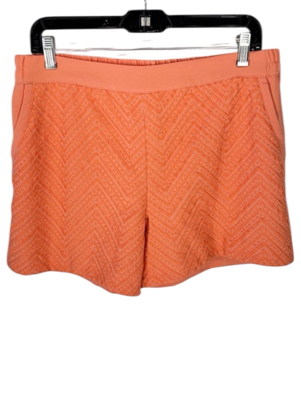 Stitch Fix | Skies are Blue Zig Zag Embroidered Chino Shorts in Peach
